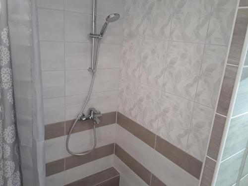纳尔瓦LBE apartments的浴室内配有淋浴和头顶淋浴