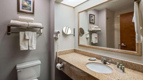 科西卡纳Best Western Executive Inn Corsicana的一间带水槽、镜子和卫生间的浴室