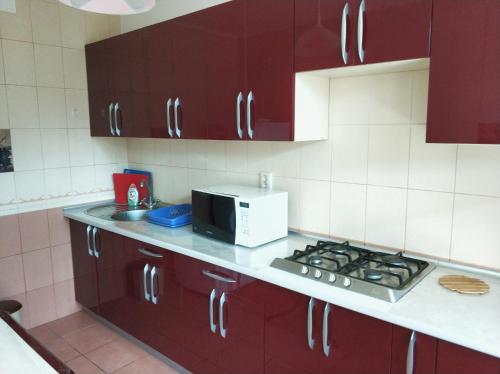 加格拉Mini-hotel "Domik v Gagre"的厨房配有红色橱柜、炉灶和微波炉