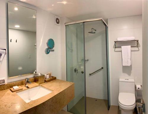 利马Hotel Estelar San Isidro的带淋浴、盥洗盆和卫生间的浴室