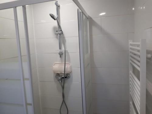 阿维尼翁studio climatisé的带淋浴喷头的浴室