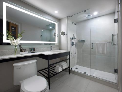 多伦多诺富特多伦多中心酒店的带淋浴、卫生间和盥洗盆的浴室