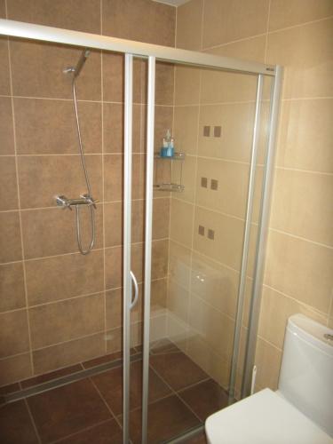 大梅济日奇Penzion Letná的设有带卫生间的浴室内的淋浴间