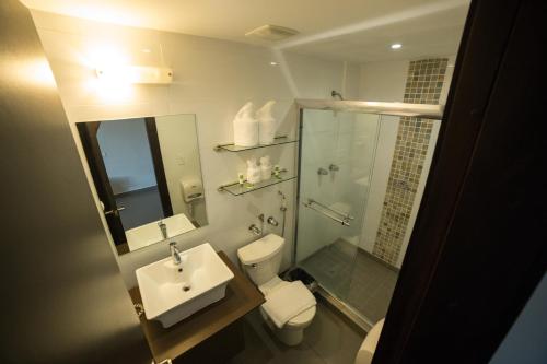 巴拿马城奥霍斯德尔里奥酒店的浴室配有卫生间、盥洗盆和淋浴。