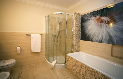 Złotoria德尔菲娜酒店的带淋浴、浴缸和卫生间的浴室