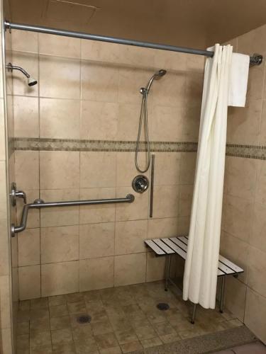 英格尔伍德游客旅舍的浴室内配有淋浴帘。