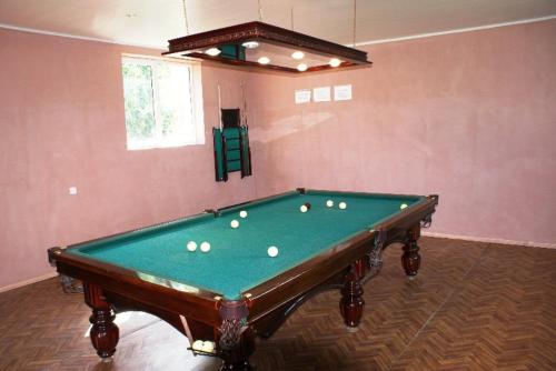 阿拉韦尔迪奥尊酒店的一间房间,内设一张带球的台球桌