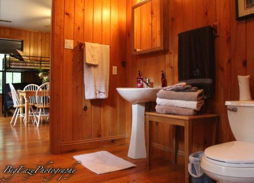FolsomThe Meadow Cabin的一间带水槽和卫生间的浴室