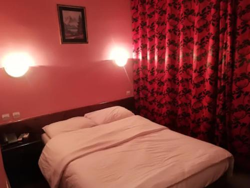 阿尔及尔Hotel De L'aeroport的一间小卧室,配有一张红色墙壁的床