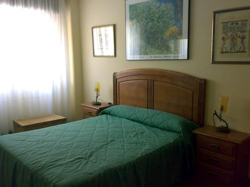 圣维森特-德拉巴尔克拉EN PLAYA SAN VICENTE DE LA BARQUERA的一间卧室设有一张绿色的床和一个窗户。