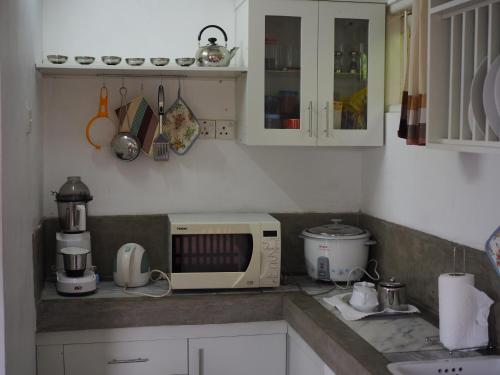 BeddegamaFlorence Cottage的厨房在柜台上配有微波炉