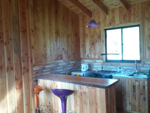 Arquería Patagonia Lodge的厨房或小厨房