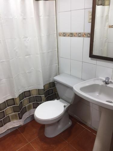Cabaña Hagemann的一间浴室