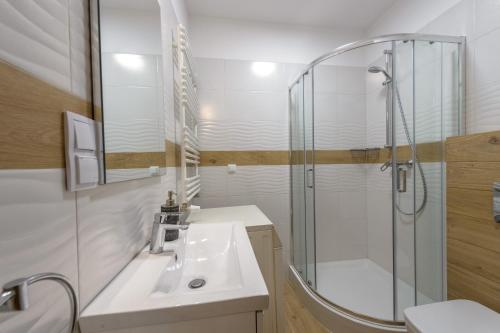 希维拉杜夫-兹德鲁伊Apartament Jelonek Izerski - 5D Apartamenty的一间带水槽和淋浴的浴室