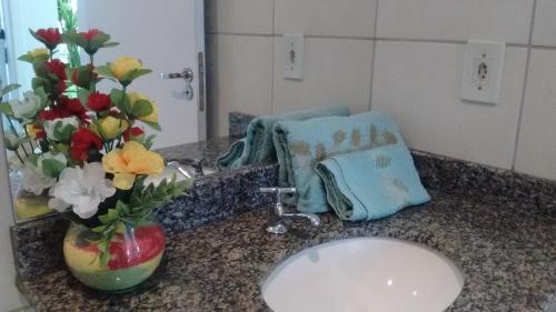 帕纳米林Natal RN Apartamento的浴室柜台设有水槽和花瓶