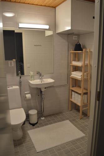 罗瓦涅米Aurora Haven Rovaniemi Modern DT Apartment -Self Check-In & Free Wifi-的一间带水槽、卫生间和镜子的浴室