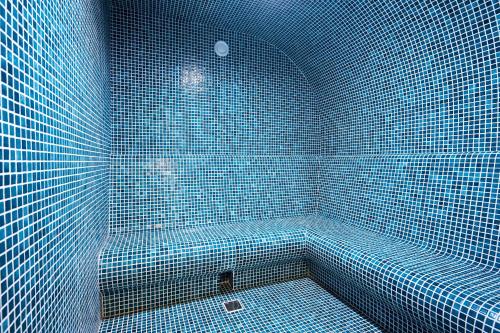 第比利斯克鲁斯酒店的蓝色瓷砖浴室设有蓝色瓷砖淋浴