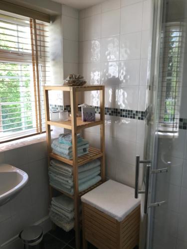 StawellIvy Cottage的带淋浴的浴室以及带毛巾的架子。