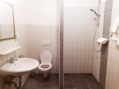 萨尔察赫河畔戈灵Economy Adler的一间带卫生间和水槽的浴室