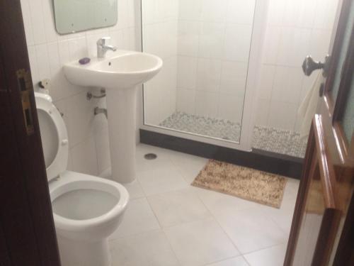 明德卢Residencial Monte Cara的浴室配有卫生间、盥洗盆和淋浴。