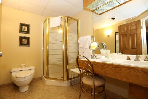 格朗普利汽车旅馆 的一间浴室