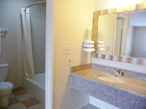 安纳海姆彩虹旅馆的一间带水槽、卫生间和镜子的浴室