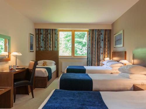 特拉利百利柔海兹酒店的酒店客房设有三张床和一张书桌