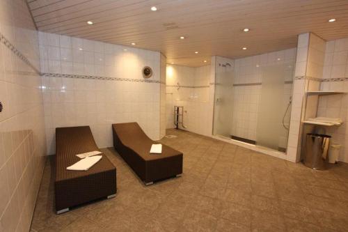 弗利姆斯Studio Top im des Alpes的大房间设有两个长椅和淋浴