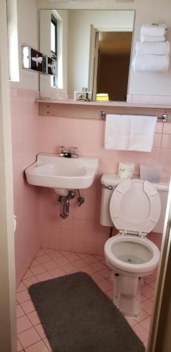 科尔特斯Cozy Inn的粉红色的浴室设有卫生间和水槽