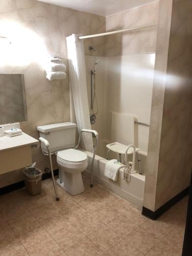 Valley Green哈里斯堡-纽克超值汽车旅馆的浴室配有卫生间、淋浴和盥洗盆。
