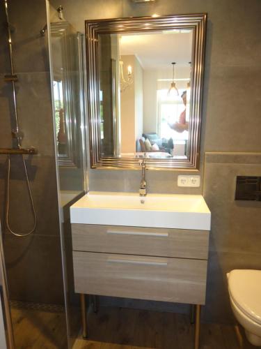 东卡佩勒Bed & Breakfast Zeeduinsepoort的一间带水槽和镜子的浴室