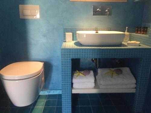 迈洛波塔斯戈尔戈纳酒店的蓝色的浴室设有水槽和卫生间