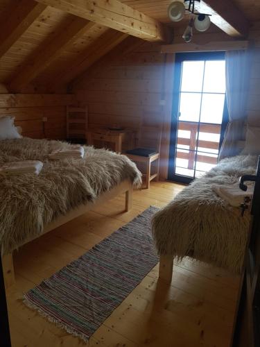 SăcelTulean Cabin的客房设有两张床、地毯和窗户。