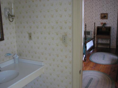 Round Top冬季丁香家庭旅馆的浴室设有水槽、镜子和浴室。