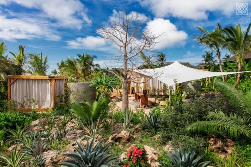 肯杜瓦Zuri Zanzibar的一座花园,花园内种植了帐篷和一些植物