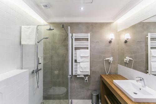 普热赫莱沃Hotel Aubrecht Country Spa Resort的带淋浴和盥洗盆的浴室