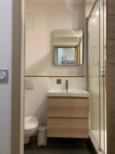 阿拉纽埃Studio des Cintes Blanques的一间带水槽、卫生间和镜子的浴室