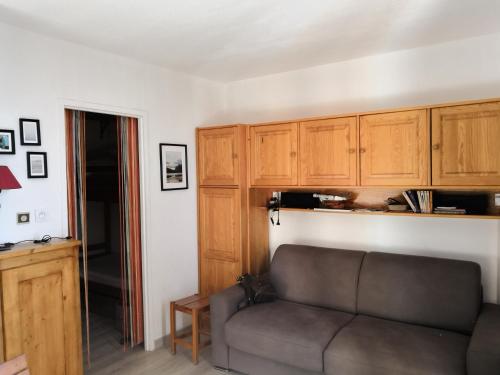 拉普德兹La Dauphinoise Alpe d'Huez的带沙发和木制橱柜的客厅