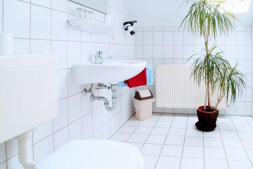 Landgasthof "Zur Linde"的一间浴室