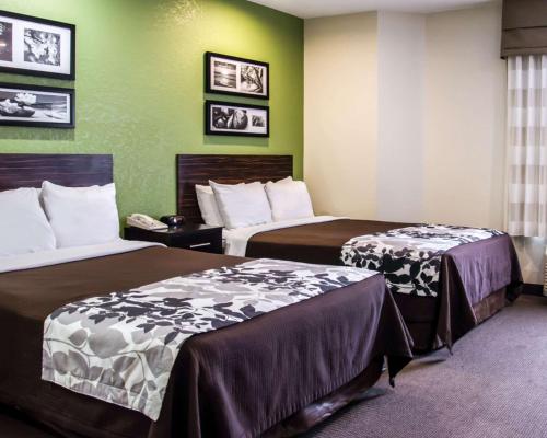 坎纳波利斯康科德/坎纳波利斯司丽普酒店的一间酒店客房,设有两张床和绿色的墙壁