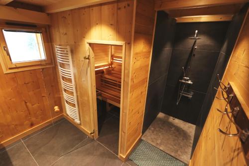 莫里永Chalet "Le mas devant"的小木屋内带淋浴的小浴室