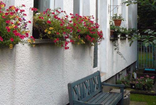 亚琛Hostel Aachen的坐在鲜花窗前的长凳