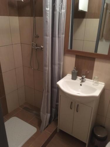 Železný BrodPenzion Vesely的浴室配有盥洗盆和带镜子的淋浴