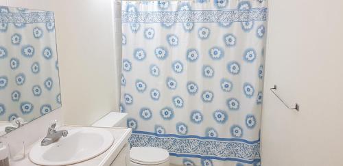 基督教堂市Walsh's Guesthouse的浴室配有淋浴帘和盥洗盆。