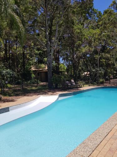 拜伦湾拜伦湾热带雨林度假酒店的一座绿树成荫的蓝色游泳池