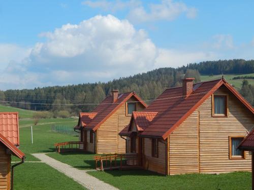 KacwinCaloroczne Domki w Gorach"ALEKSANDER"的绿色田野上带红色屋顶的小木屋