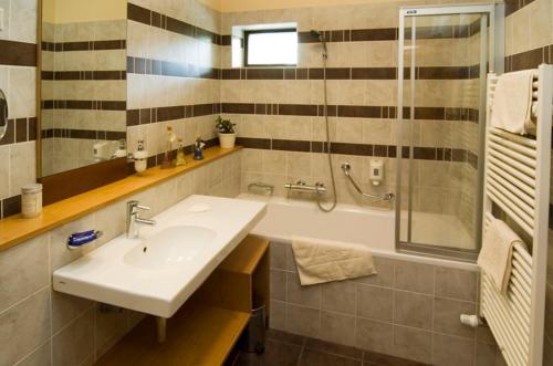 RácalmásJankovich Hotel的一间带水槽和淋浴的浴室