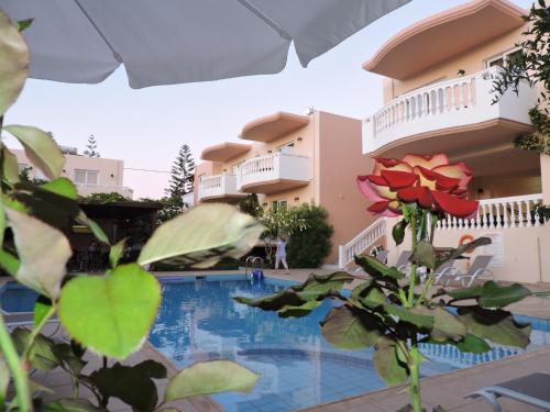 科林瓦里奥金玫瑰套房酒店的从游泳池欣赏到公寓大楼的景色