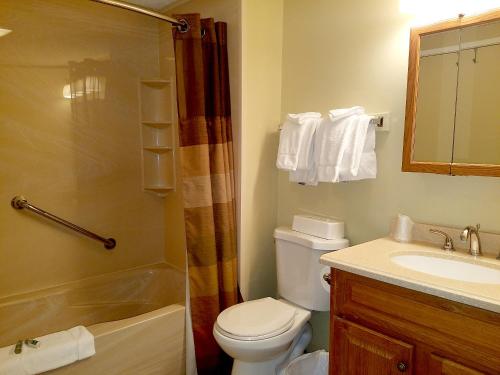 林肯卢恩山VRI度假酒店的浴室配有卫生间、盥洗盆和淋浴。
