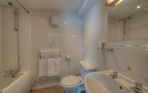 东雷特福德The Elms Hotel的浴室配有卫生间、浴缸和水槽。